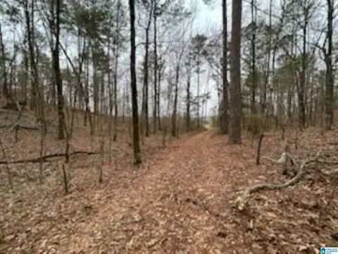 Residential/Agricultural Land Parcel