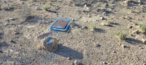 Rio Rico Land with Views