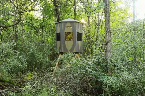 Wooded Hunting Land
