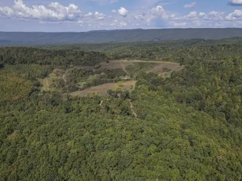 243 Acres Surrounded by Forest