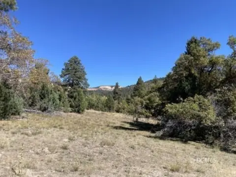 54.25 Acres Vacant Land