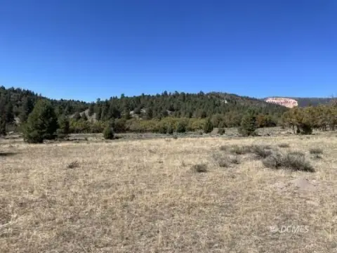 Duck Creek Village Vacant Land