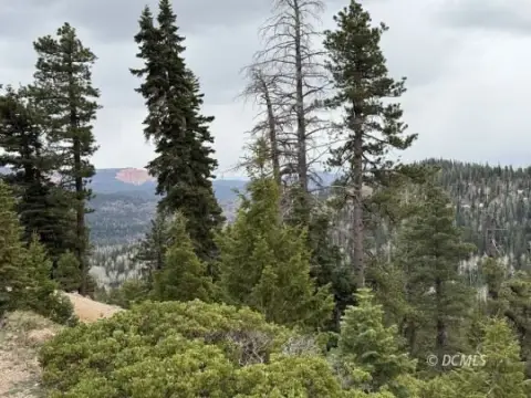 Duck Creek Village Residential Lot