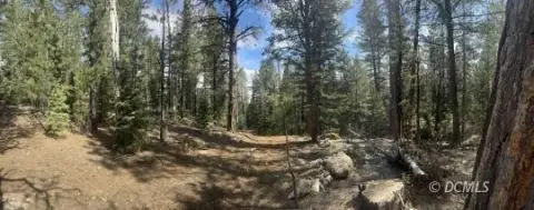 Picturesque Wooded Lot in Duck Creek