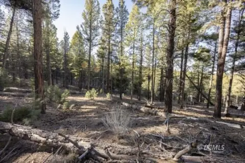 Residential Lot in Duck Creek