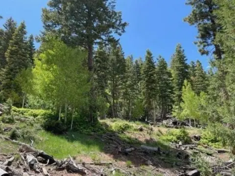 Long Valley Residential Lots