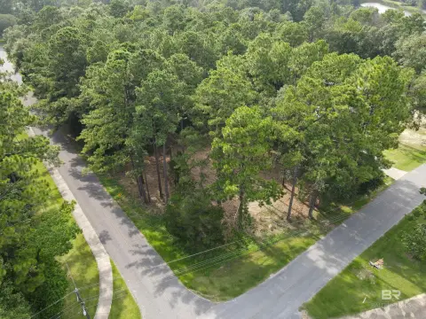 Residential Lot in Bay Minette
