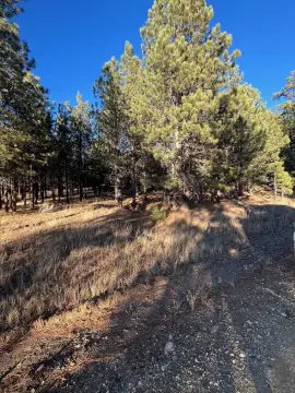 Land Near Angel Fire Resort