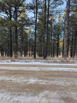 Land in Angel Fire, NM