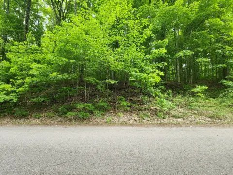 Wooded Lot Near Forest Lake