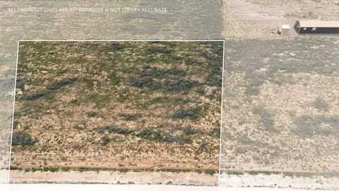 Acre Land in Stanton, TX