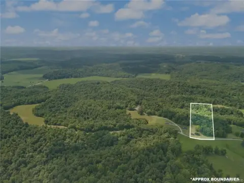 Wooded Hunting Land with Road Frontage