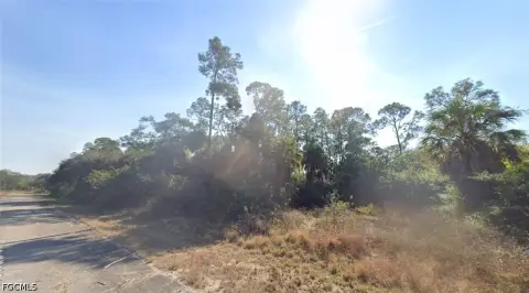 Residential Lot in Banyan Village