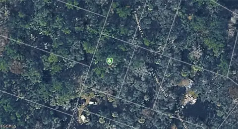 Residential Lot in Hernando, FL