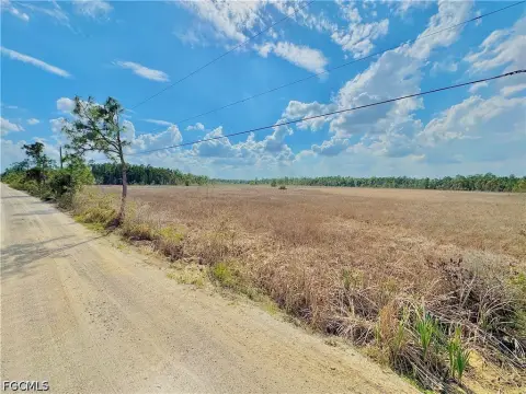Punta Gorda 5-Acre Land Parcel