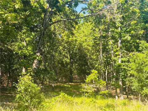 Yellville Land Near Bull Shoals