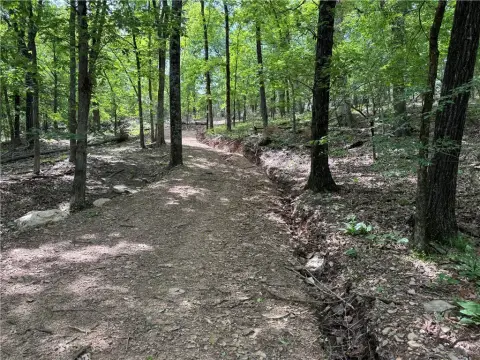 Wooded Land in Elkins, AR