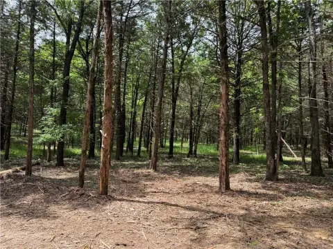 Wooded Land in Elkins, AR