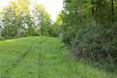 Hunting Land with Deer Blind