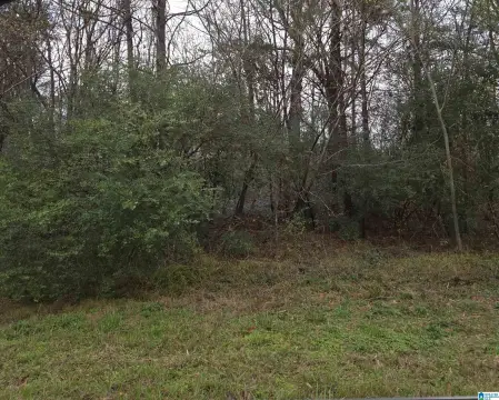 Commercial Land in Forestdale, AL