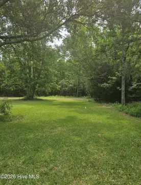 Cleared Land Near Boat Ramp