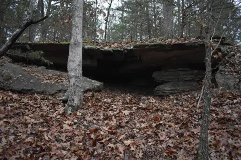 103 Acres Timber Tract