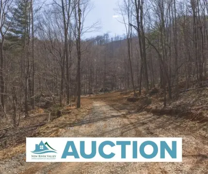 71.681 Acres Wooded Land Tract