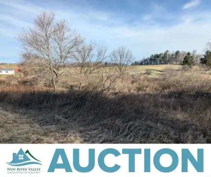 25 AC Wooded Land Auction