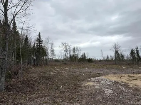 Gulliver, MI Vacant Land