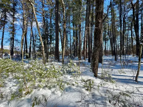 Fryeburg Land Near Saco River