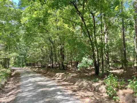 Level Hunting Land with Mature Trees