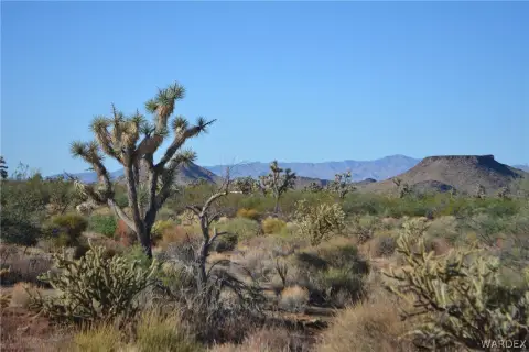 Land in Yucca, Arizona
