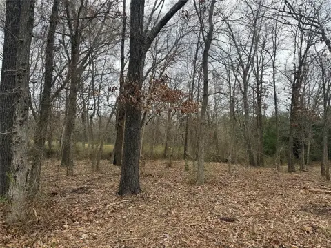 Residential Lot in Grand Saline