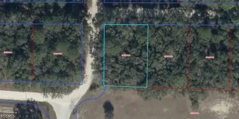 Vacant Lot in Williston, FL