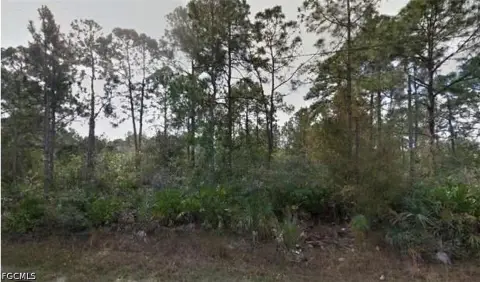 Residential Land in Lehigh Acres