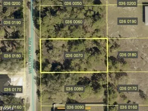Residential Lot in Lehigh Acres