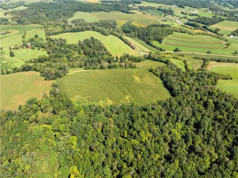 Open and Wooded Land