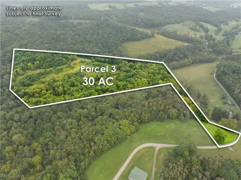 Wooded Hunting Land