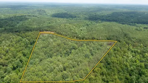 Land with Duck River Frontage