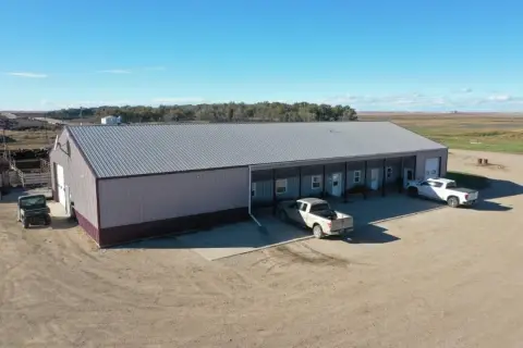 Cattle Feedlot Farm