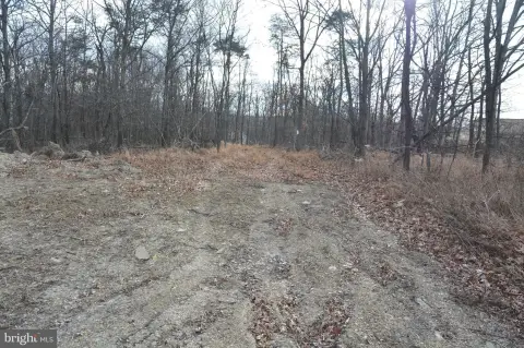 Wooded Land in Cross Junction