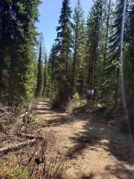 Wooded Mountain Land