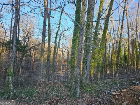 Conyers Land With Site Plan