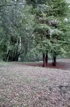 Enchanting Mountain Land Parcel