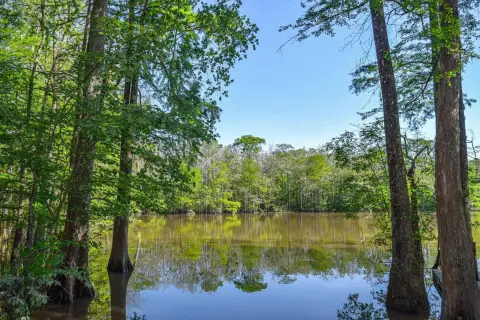 134 Acres on Tickfaw River