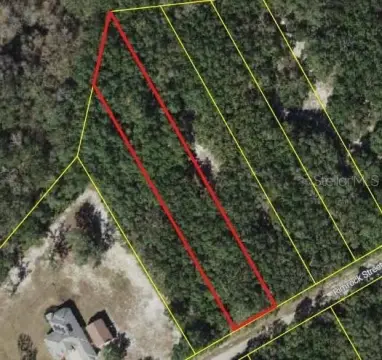 Spacious Land Parcel, Webster, FL