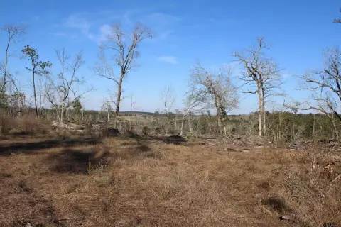 Rusk, TX Acreage with Views