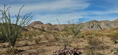 Terlingua Ranch Land For Sale