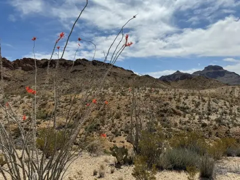 80 Acres in Terlingua, TX