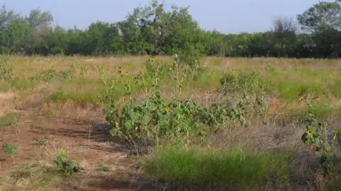 Land Available in Abilene, Texas